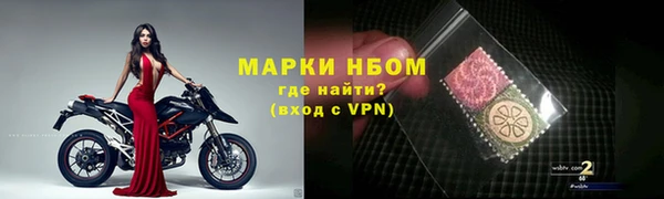 трава Бородино