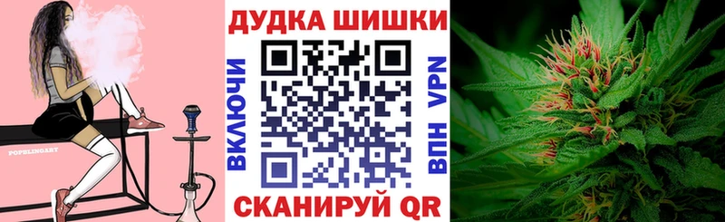 Бошки Шишки план как найти закладки Высоковск